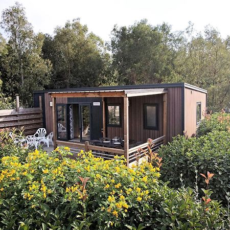Camping Les Castors Calvi  Exterior foto