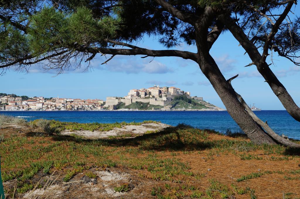 Camping Les Castors Calvi  Exterior foto