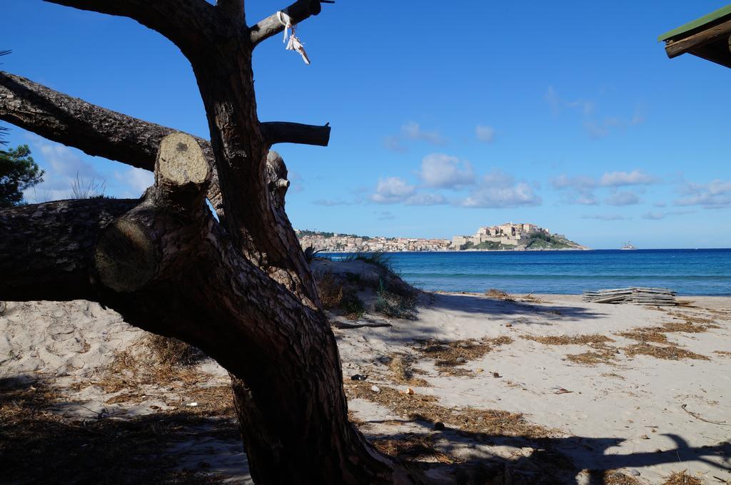 Camping Les Castors Calvi  Exterior foto