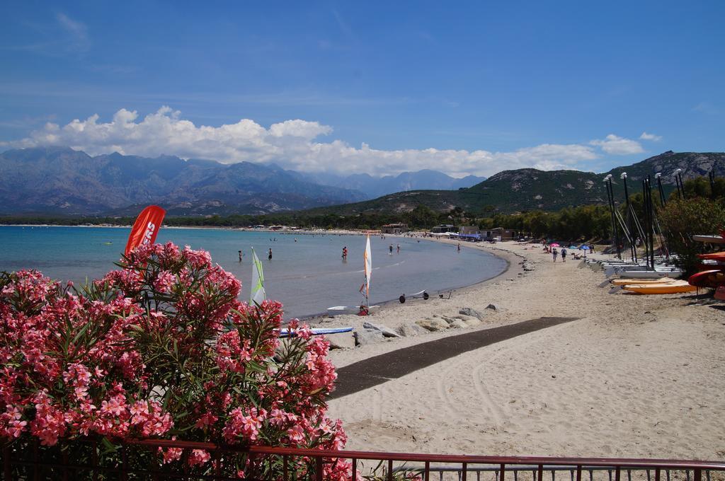 Camping Les Castors Calvi  Exterior foto