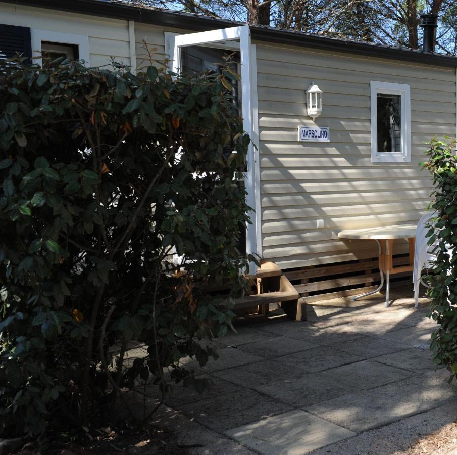 Camping Les Castors Calvi  Exterior foto